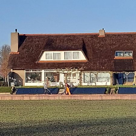 Riethove Bed & Breakfast ฮาร์ลิงเงน ภายนอก รูปภาพ