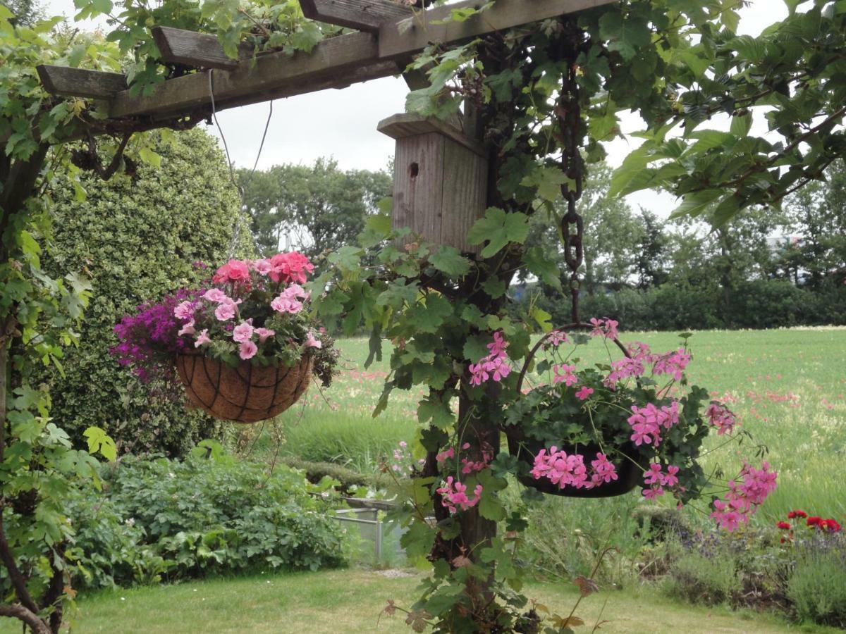 Riethove Bed & Breakfast ฮาร์ลิงเงน ภายนอก รูปภาพ