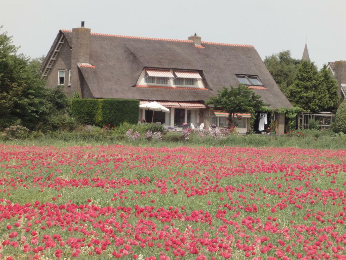 Riethove Bed & Breakfast ฮาร์ลิงเงน ภายนอก รูปภาพ